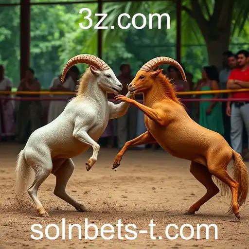 Jogos de Sabong e a Ascensão do Solnbet